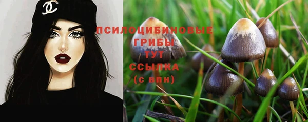 метадон Приозерск