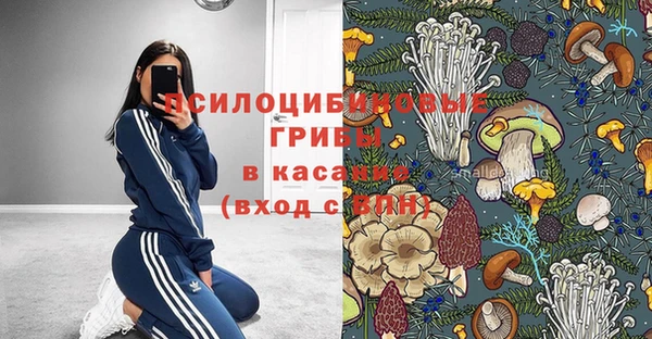 гашик Алексеевка