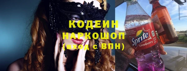 гашик Алексеевка